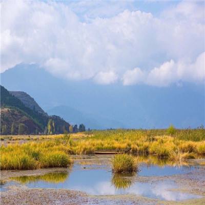 海岛奇兵老版本下载